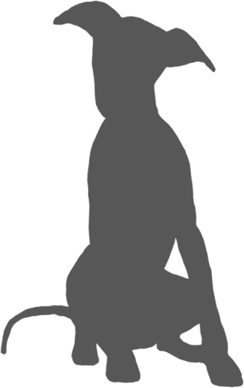 A Silhouette Of A Cat