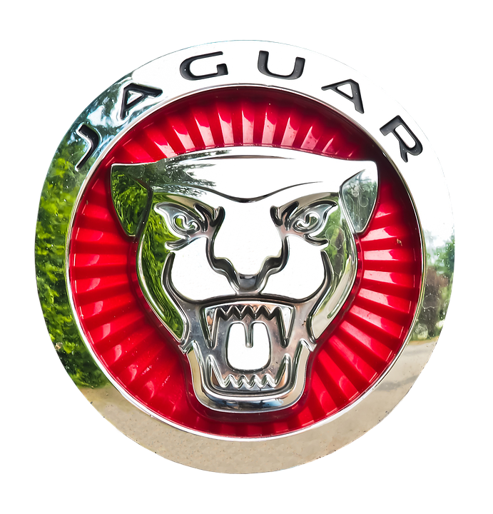 A Logo Of A Jaguar