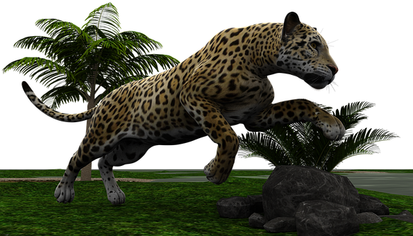 A Cheetah Jumping Over Rocks