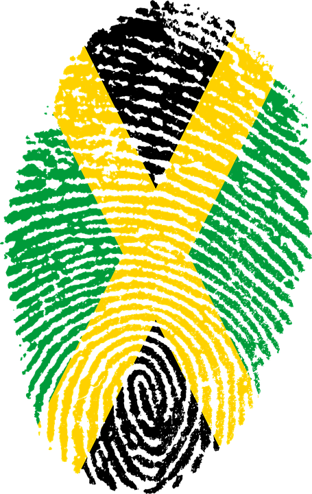 A Yellow And Green Fingerprint