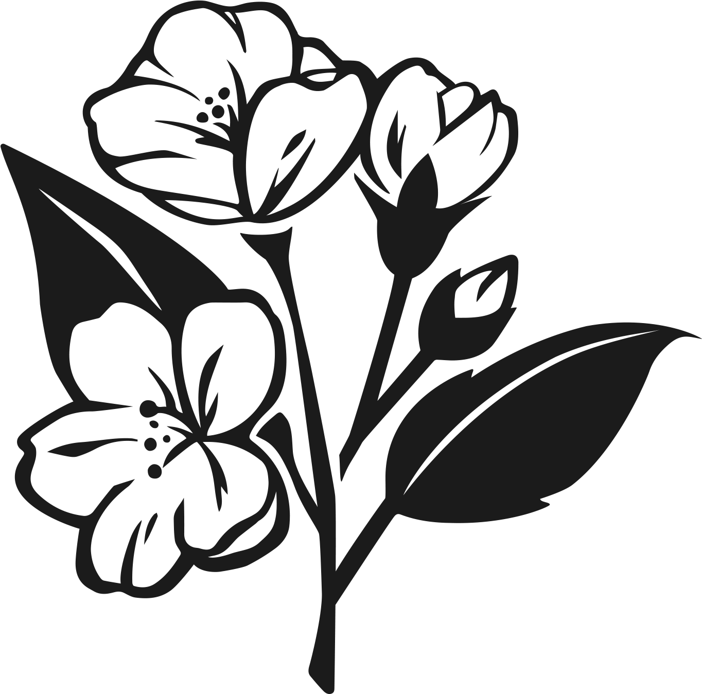 A Black Flower With Leaves