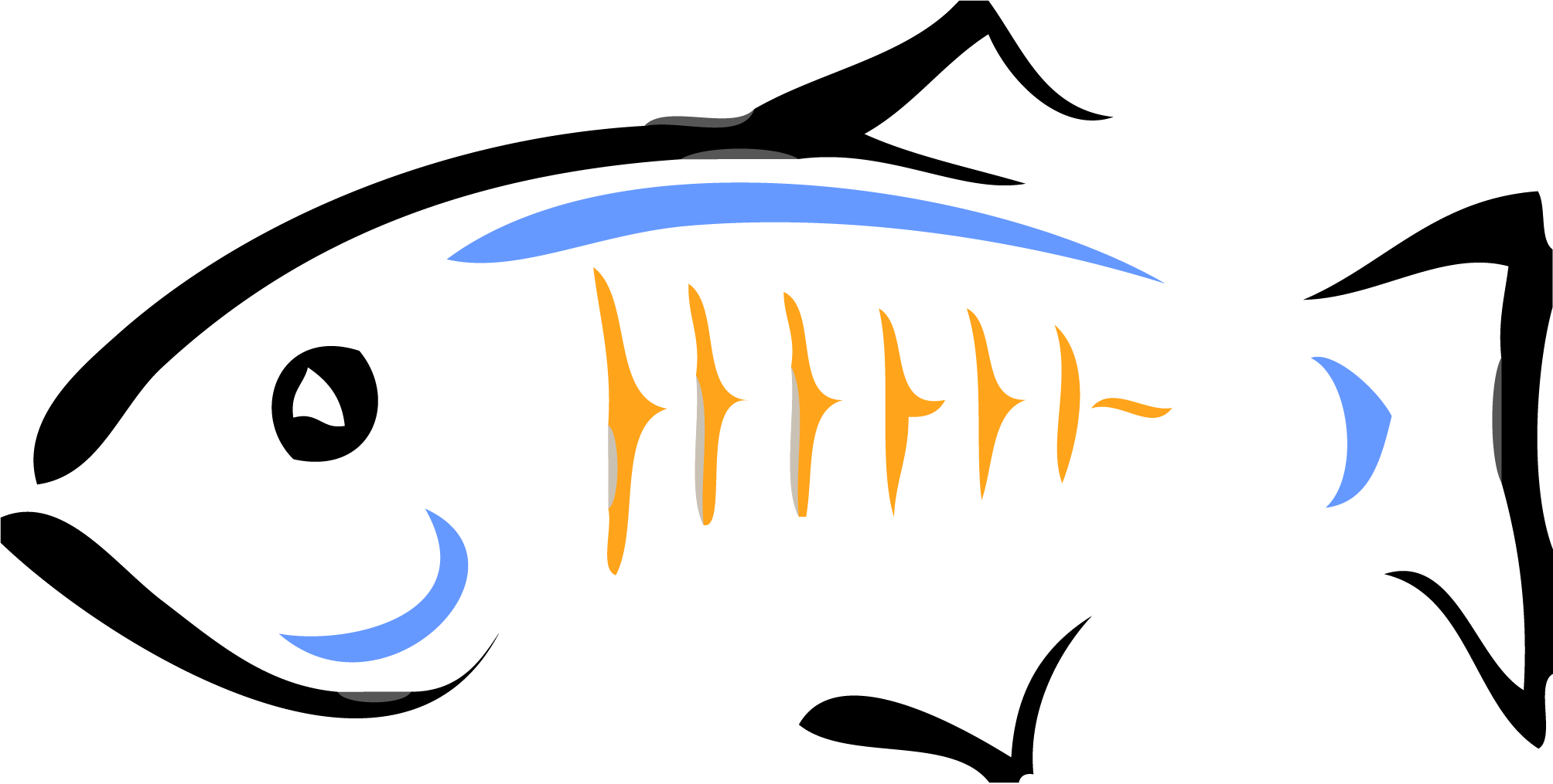 A Fish Skeleton With Blue And Orange Stripes