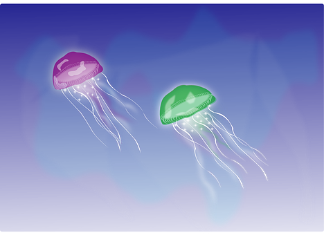A Couple Of Jellyfish In The Water