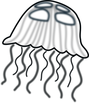 A White Jellyfish With Black Background