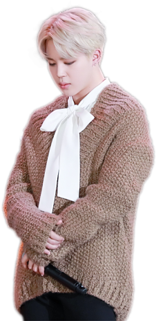 A Person In A Sweater With A White Bow Tie