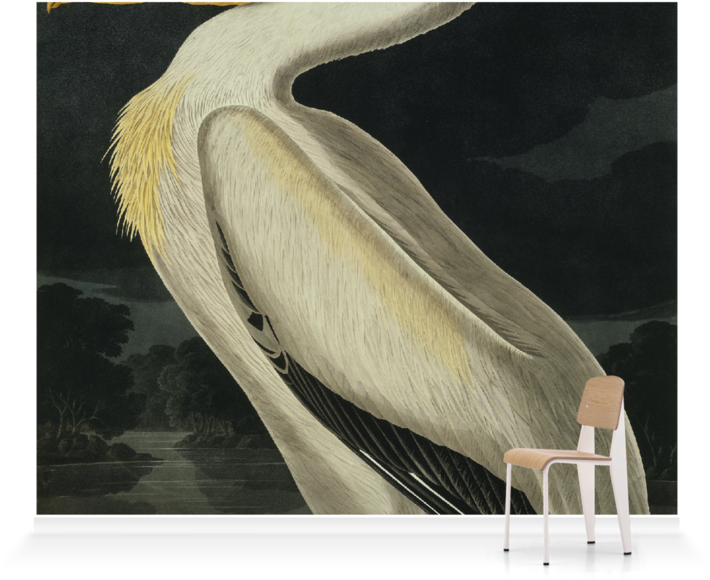 A White Bird With Yellow Feathers And A Chair