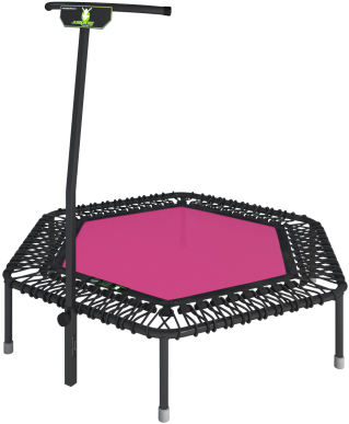 A Pink Trampoline With A Pole