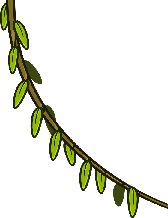 A Green Branch With Leaves