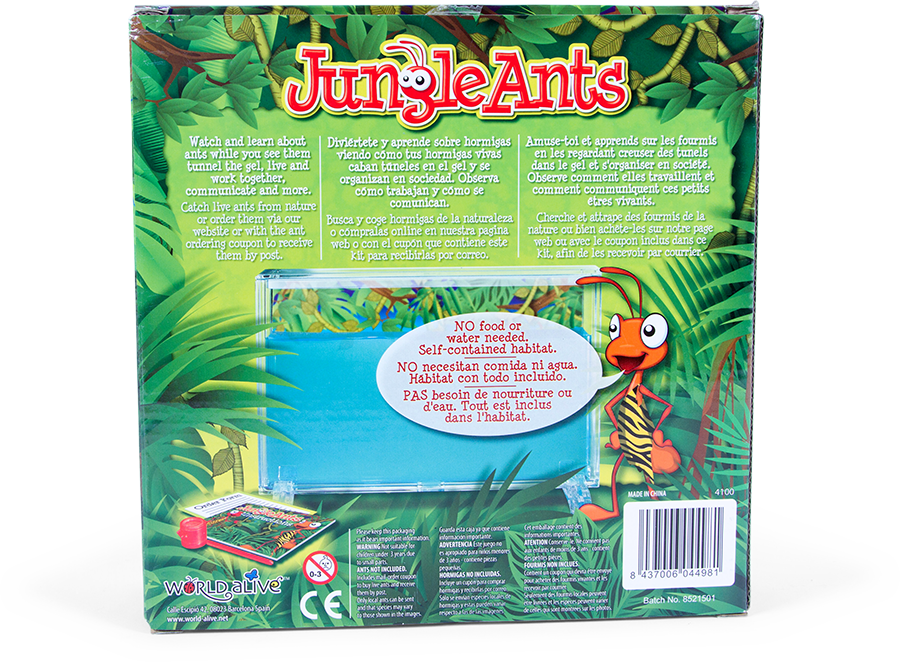 Jungle Png 900 X 662
