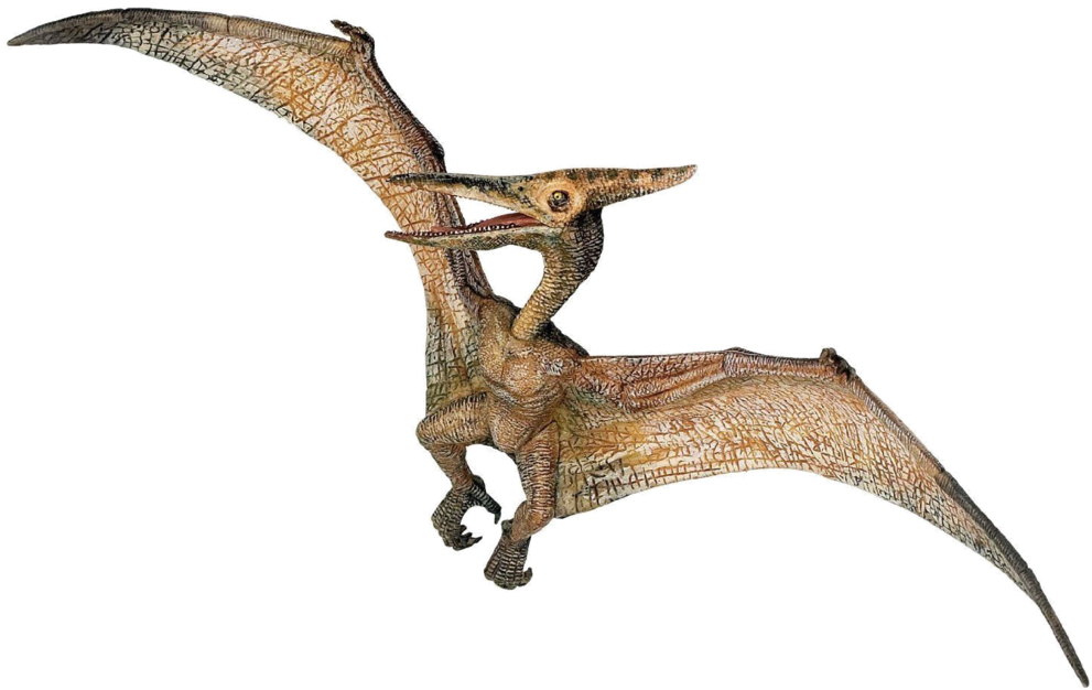 Jurassic Park Pterodactyl