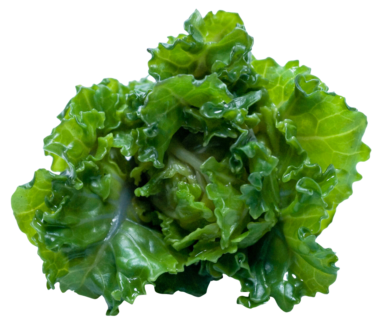 A Green Leafy Vegetable On A Black Background
