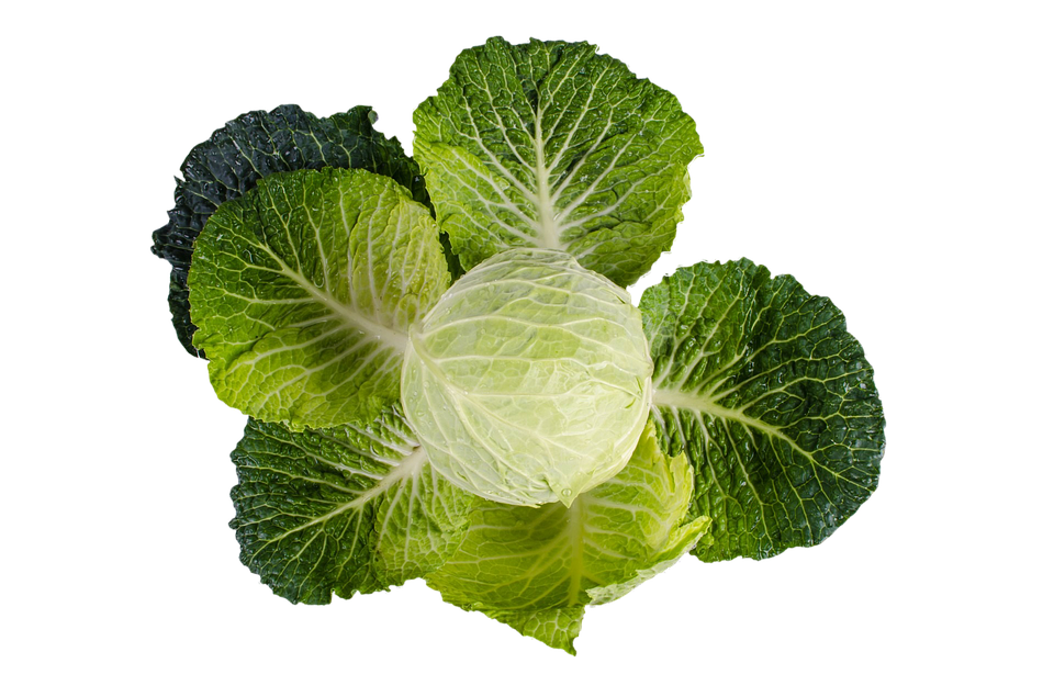 A Head Of Cabbage With Leaves