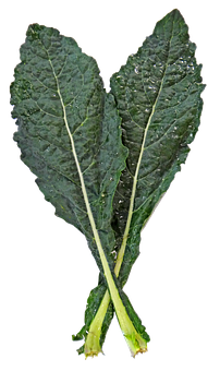 A Close Up Of A Leafy Vegetable