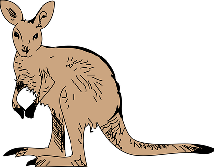 A Drawing Of A Kangaroo