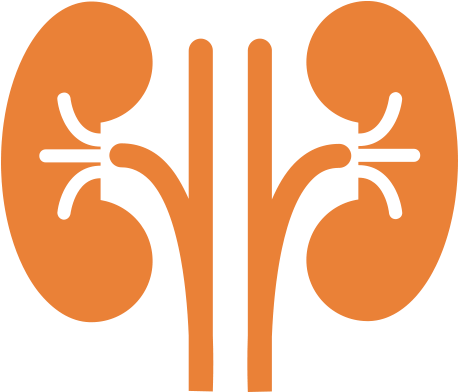 A Black And Orange Kidneys