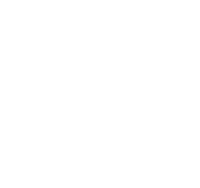 A White Kidneys On A Black Background