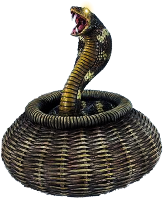 A Snake In A Basket