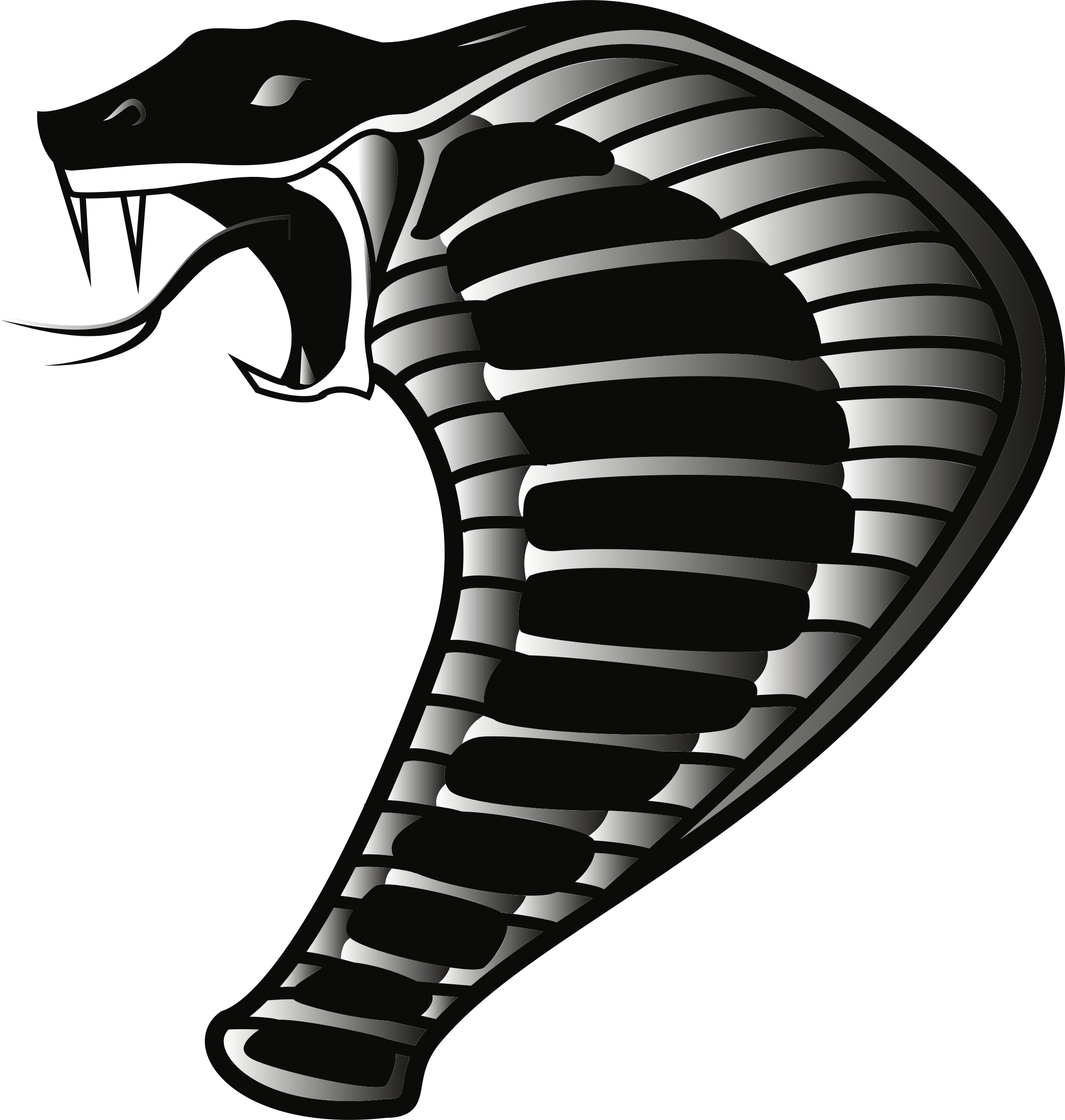 A Black And White Image Of A Cobra