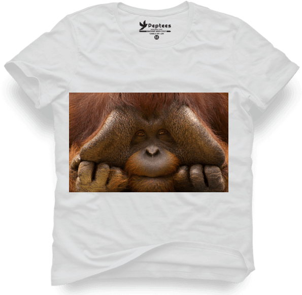 King Kong - Orangutan, Hd Png Download