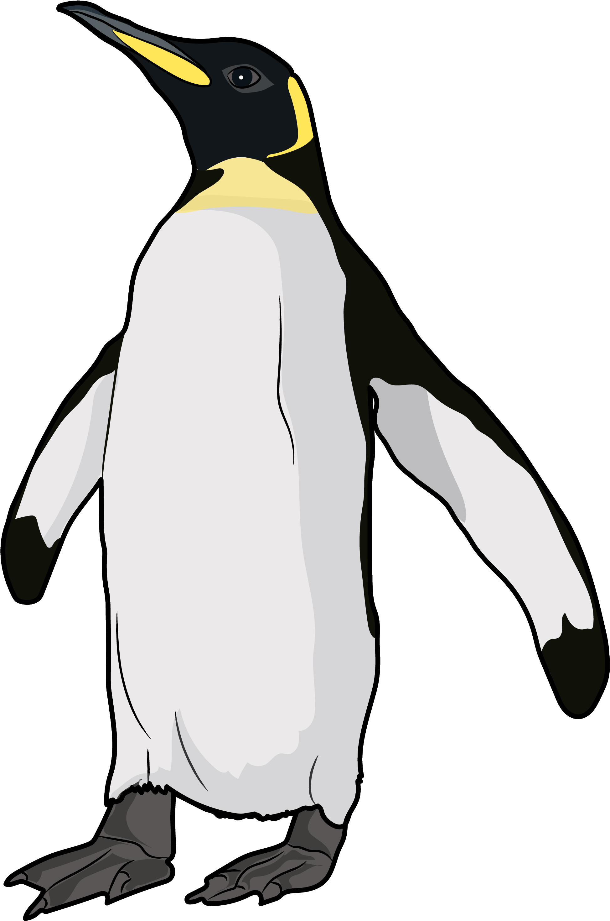 A Penguin With A Black Background