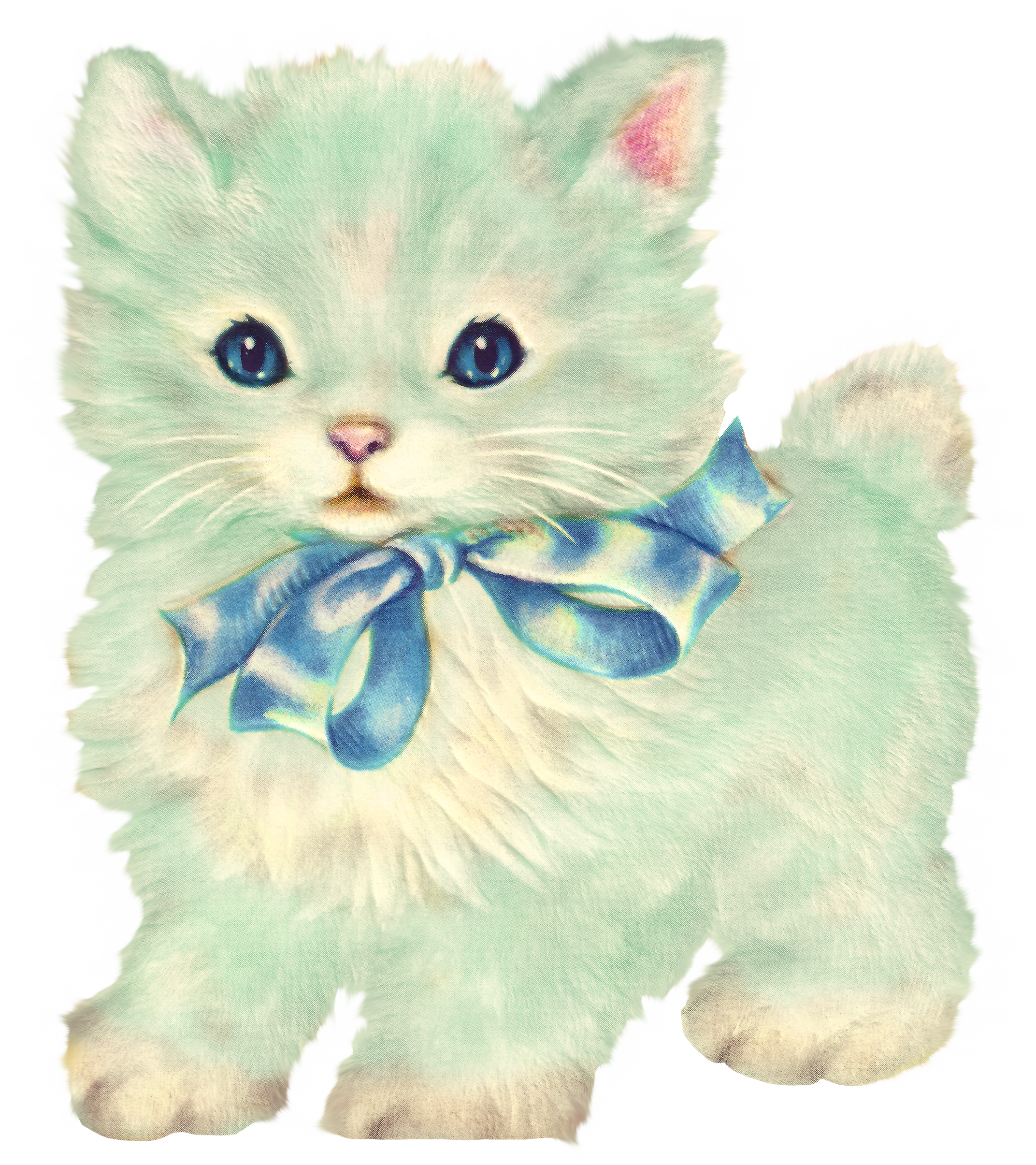 A White Cat With A Blue Bow
