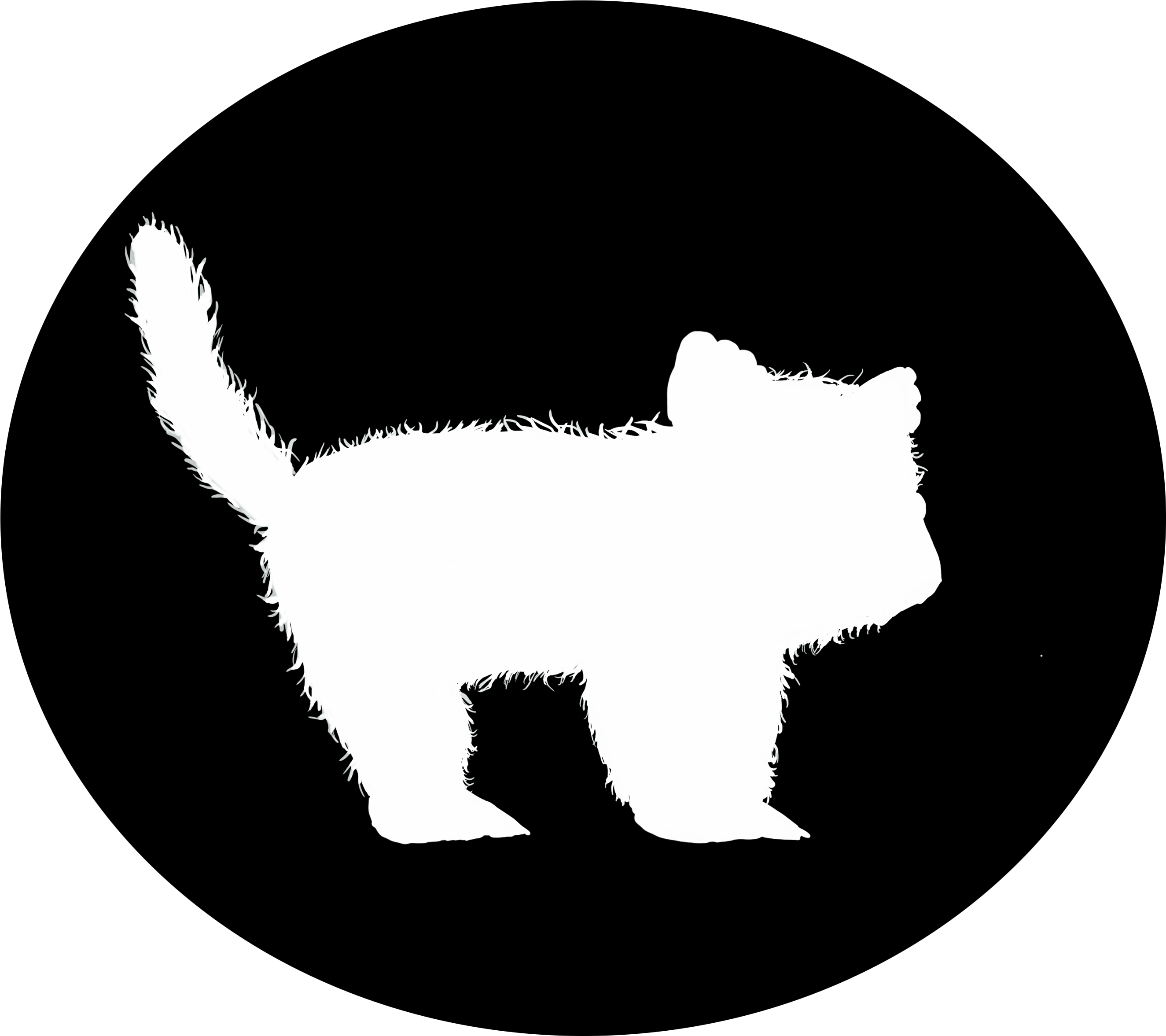 A White Silhouette Of A Cat