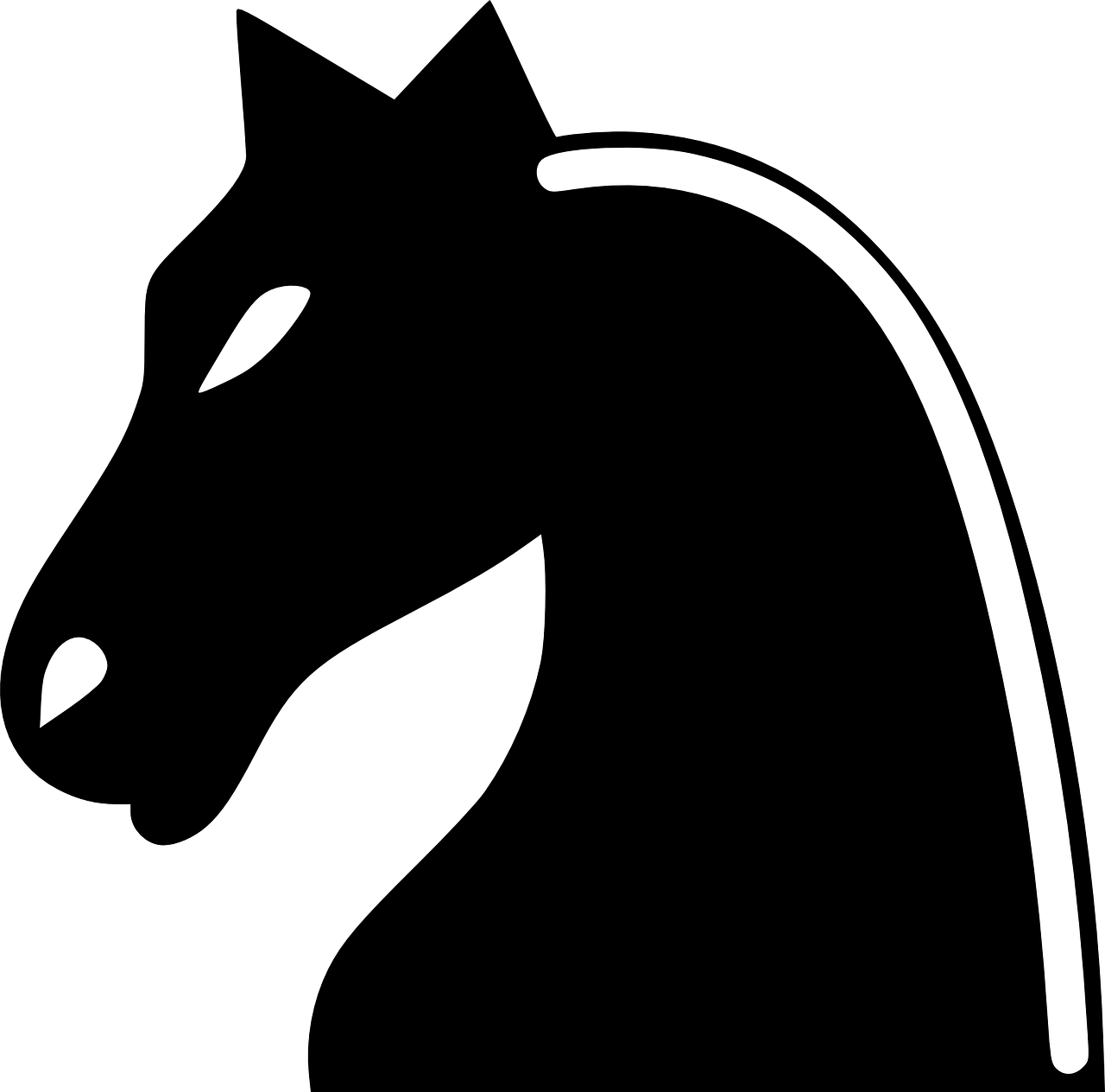 A White Horse Head With A Black Background