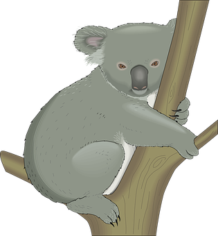 A Koala Bear On A Tree