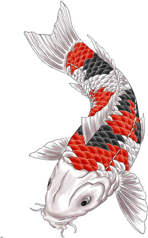 A White And Red Fish With Black Scales