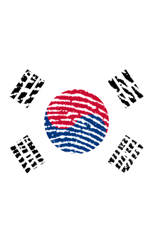 A Flag Of South Korea