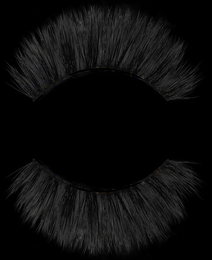 A Black False Eyelashes On A Black Background
