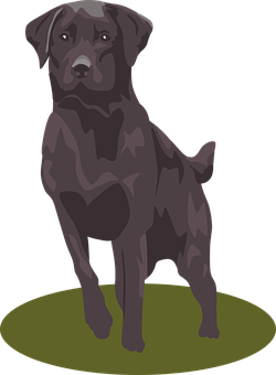A Dog Standing On A Green Surface
