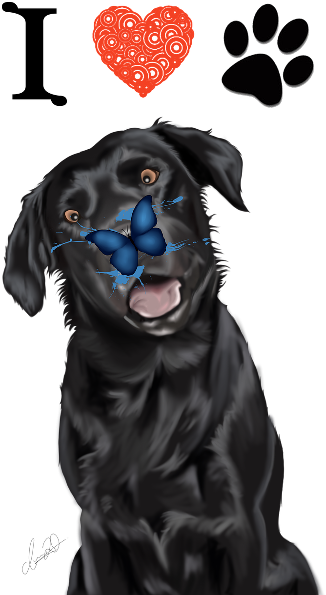 A Black Dog With A Butterfly On Its Nose
