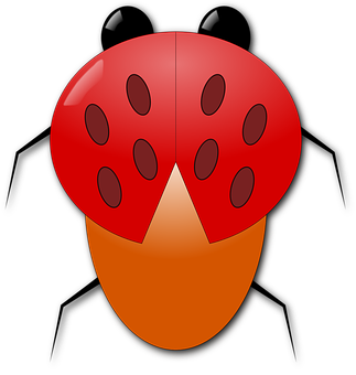 2d Ladybug Spreading Its Wings
