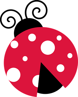 A Red And White Polka Dot Pizza