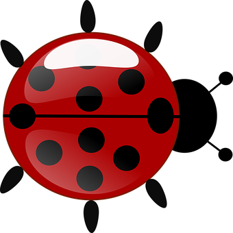 Ladybug Png 340 X 340