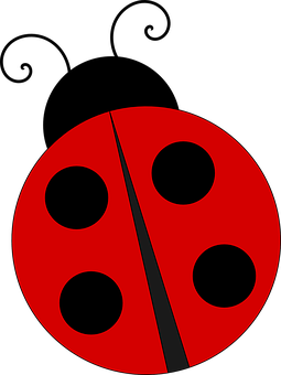 A Red And Black Ladybug