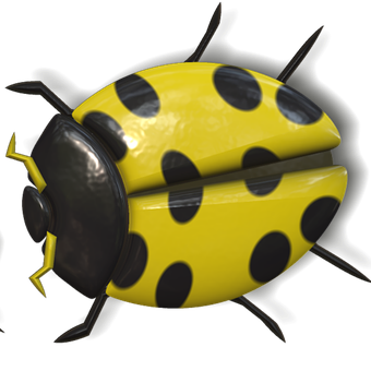 A Yellow And Black Ladybug