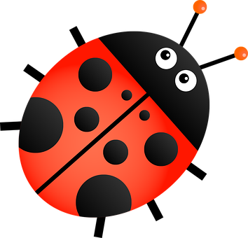 A Ladybug With Eyes And A Black Background