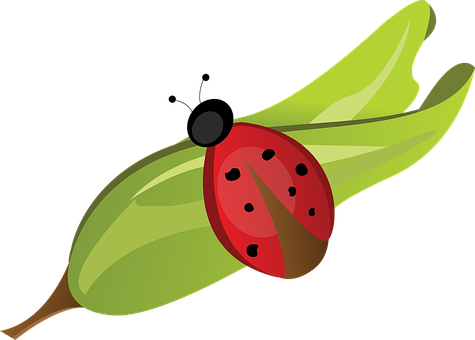 Ladybug Perched On A Leaf