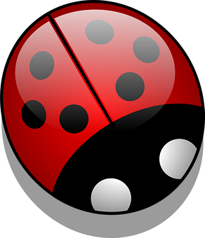 Ladybug Png 292 X 340