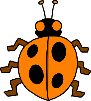 Ladybug Png 306 X 340