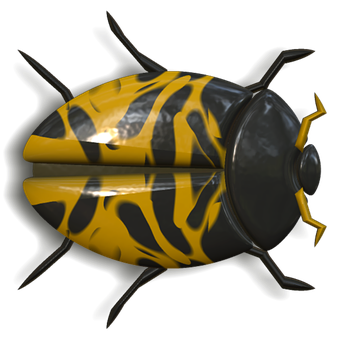 A Yellow And Black Bug