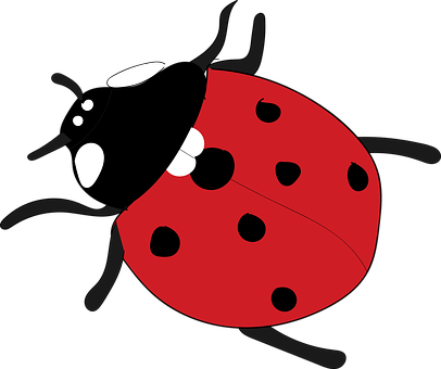 A Cartoon Of A Ladybug