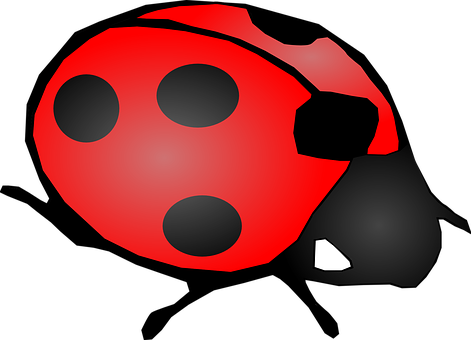 Ladybug Png 471 X 340