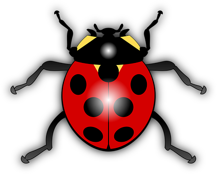Ladybug Png 424 X 340