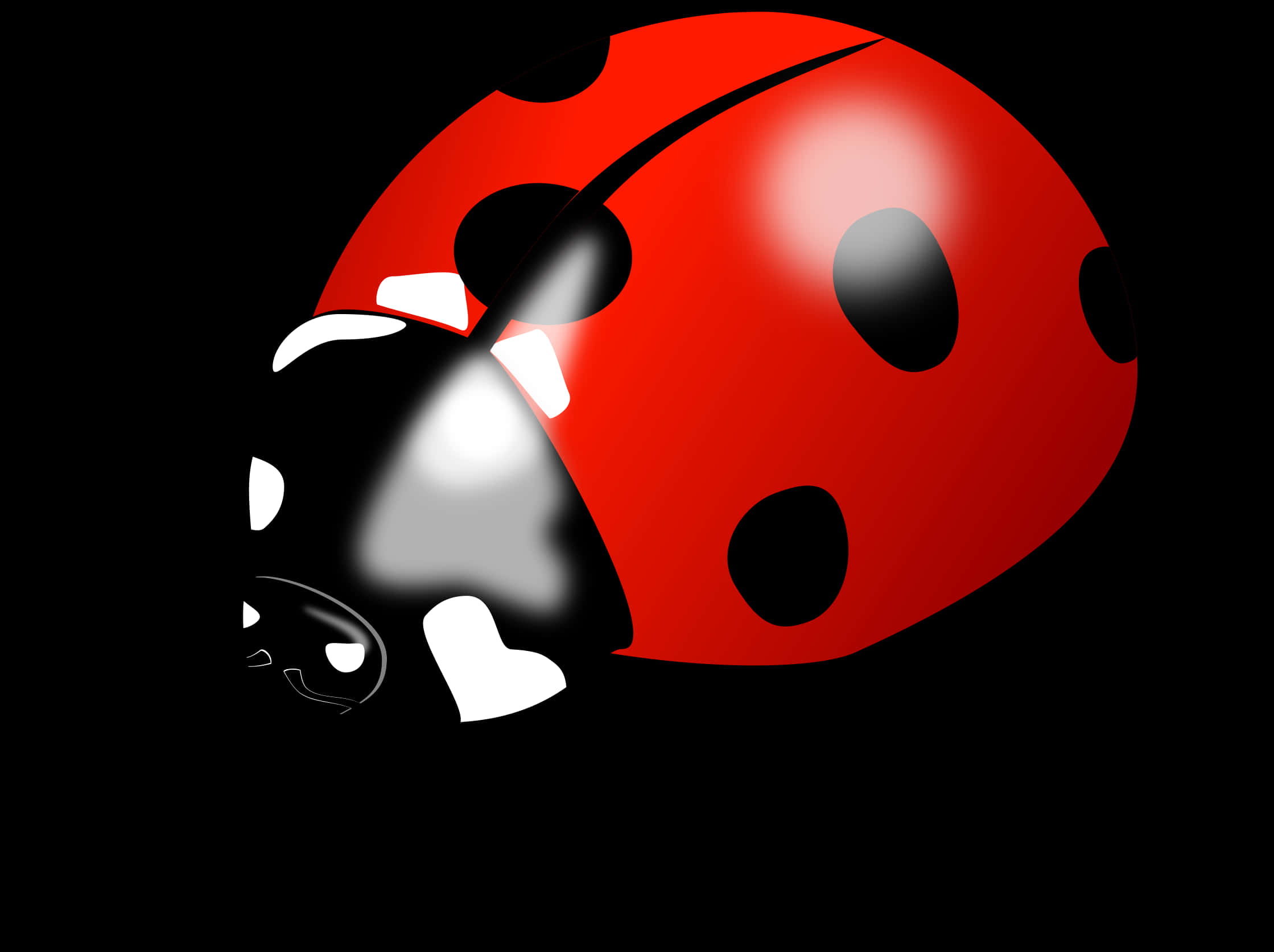 Ladybug Png