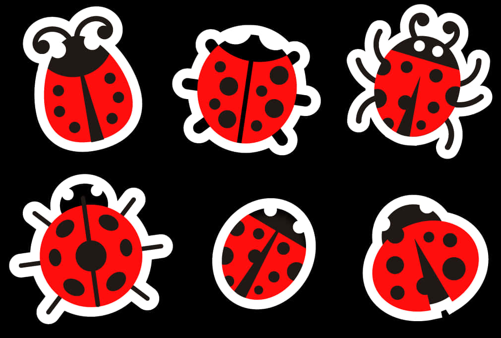 Six Cute Red Ladybug Illustrations