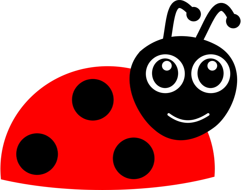 Ladybug Png 800 X 633