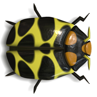 A Yellow And Black Bug